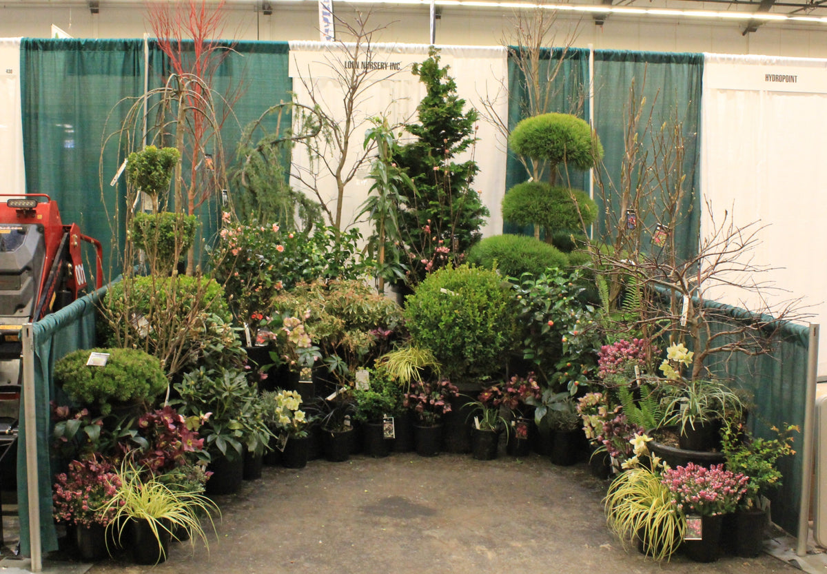 NorCal Tradeshow 2025