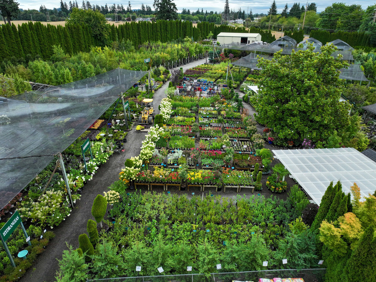 Loen Garden Center in Sherwood from the air