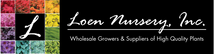 Loen Nursery, Inc. - Home