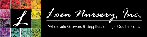 Loen Nursery, Inc.